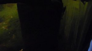 Типы аквариумов. Аквариум для раков.