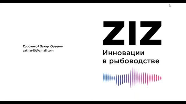 MTG клуб. Встреча без галстуков смотреть онлайн