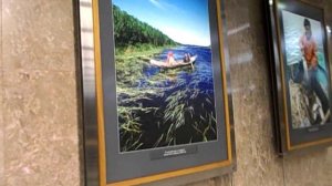 Галерея метро на станции Выставочная