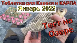 Таблетка для рыбалки в феврале. Огромный карась. Насадка на карася. Зимняя рыбалка в январе 2023