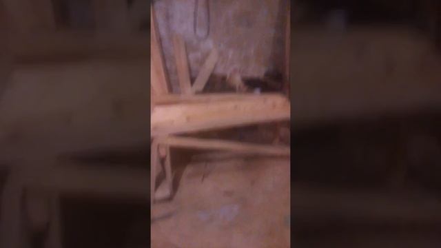 Живой человек в гробу и его ощущения там  он говорит из гроба  смотрите подписывайтесь будет новое