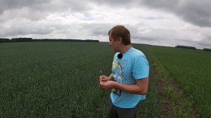 Как Получить +30% К Урожаю Пшеницы! Важная Фаза Для Подкормки Пшеницы По Листу - Флаговый Лист.