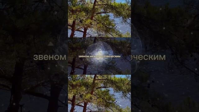 Шишковидная железа. Активация Меркаба – Natanael
