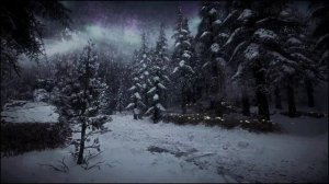 Метель и зимняя буря в невероятно красивом зимнем лесу для учёбы, чтения и сна