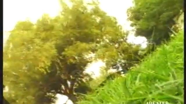 PSA Nightmares: Beauty Without Cruelty - Karakul Sheep смотреть онлайн