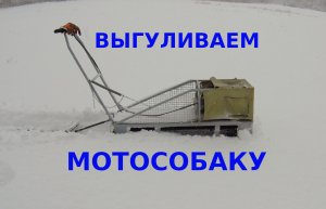 Выгуливаем мотособаку