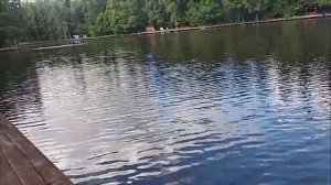 Поимки осетра с разных дистанций и в различных слоях воды. Рыбалка на Нижнем. Клёвое место лосиный