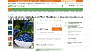 ГОЛУБИКА. ЧЕРНИКА САДОВАЯ. Самые вкусные сорта и секрет посадки! ТАЙНОКОД на скидку в Агромаркет
