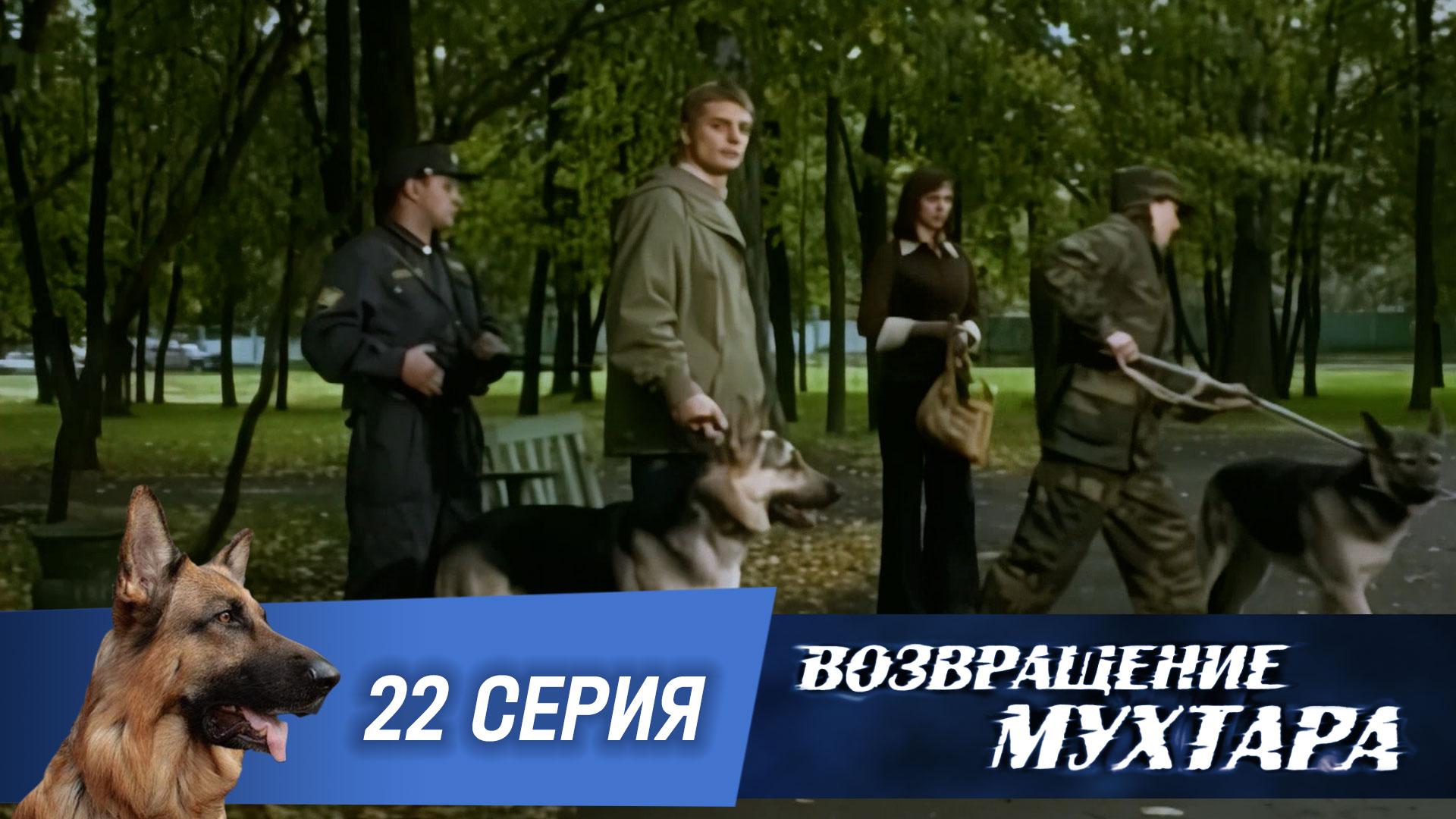 Возвращение Мухтара: Собака  враг человека (1 сезон. 22 серия)