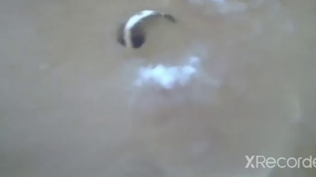 рыбалка как надо ловить рыбу смотреть онлайн