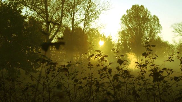 Рассвет, Киев, парк Дружбы Народов, осень 2012 смотреть онлайн