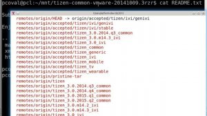 tizen-common-vmware-20141009.3rzr.ogv