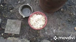 копчение утки в бочке в домашних условиях