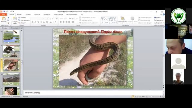 Науковий пошук 18 11 2020