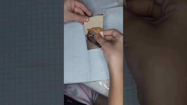 бумажные сюрпризы