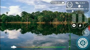 Ловля на раковую шейку на реке Питча