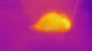 Мышь через тепловизор. Mouse in thermal imager.
