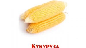 Презентация для детей "Овощи"
