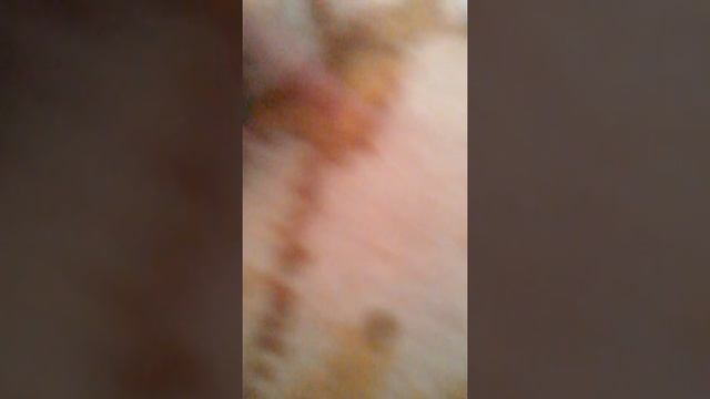 Как сделать мини-спутник смотреть онлайн