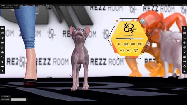 [REZZ ROOM] SPHYNX CAT ANIMESH TUTORIAL VIDEO FOR TATTOO смотреть онлайн