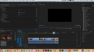 06 Трансформация в Adobe Premiere