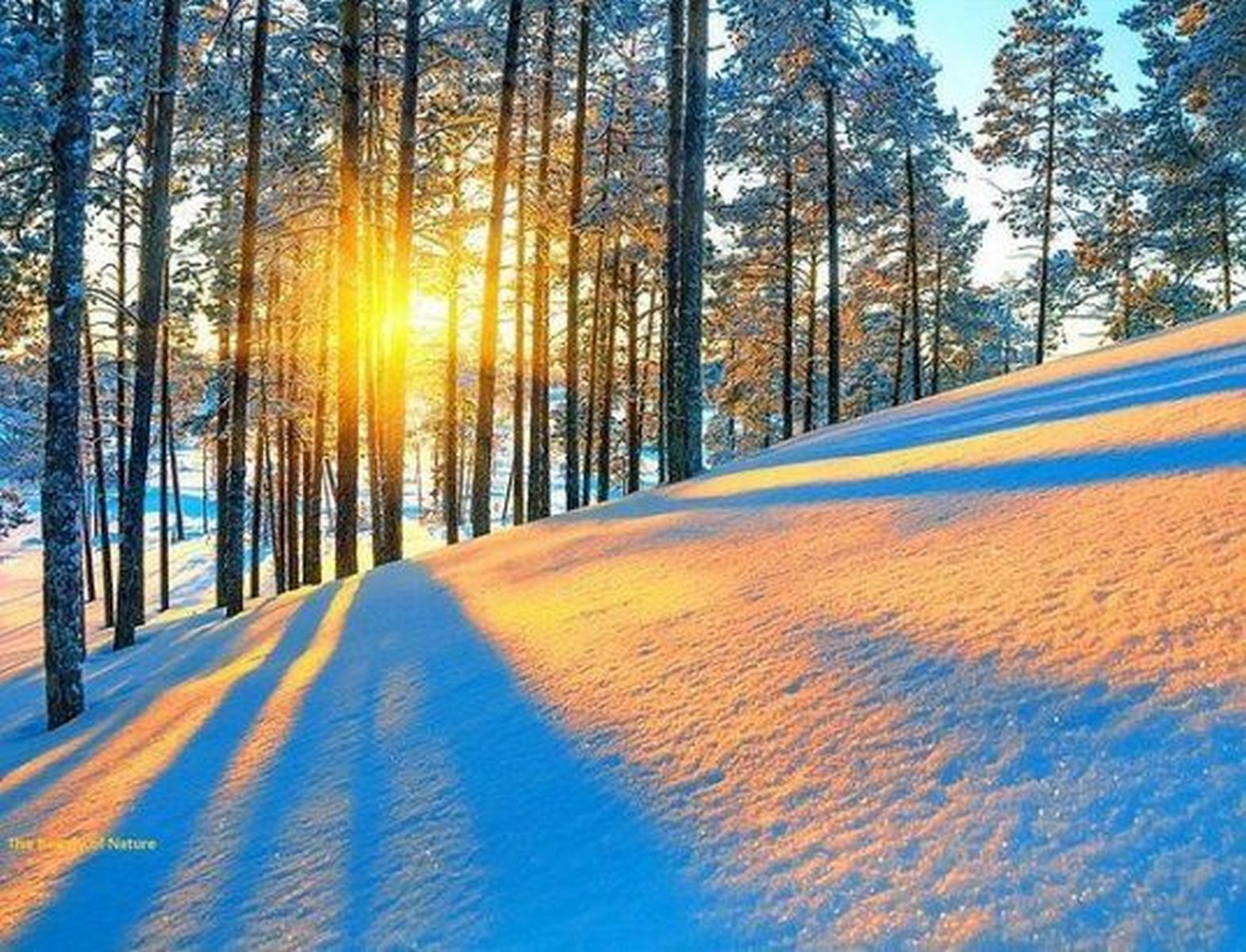 Снова снег синеет в поле...Георгий Иванов.