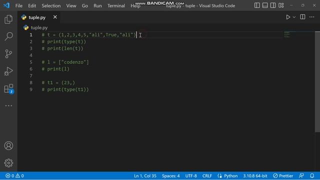 #27 Tuples in python | Python Course For Absolutely Beginners