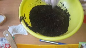 Подготовка и посев семян помидор! Всхожесть 100%