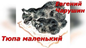 Тюпа маленький. Е. Чарушин.