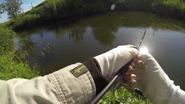 Ловля голавля весной воблерами на р Чир [FishMasta.ru]