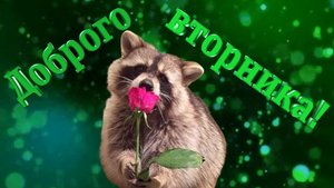 Доброго вторника!