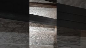 Седина на лыжах.Причины!?(rossignol-xium-sk.)