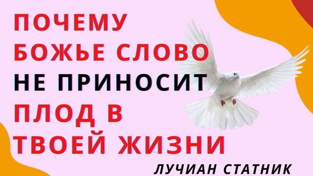 Почему Божье Слово не приносит плод в твоей жизни | Лучиан Статник смотреть онлайн
