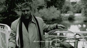 Птица цвета ультрамарин.