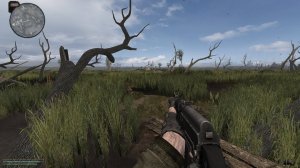 Химера на болотах.