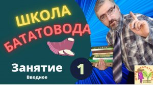 Школа Бататовода. Занятие 1. Удивительные факты. История культуры батат. Биология батата