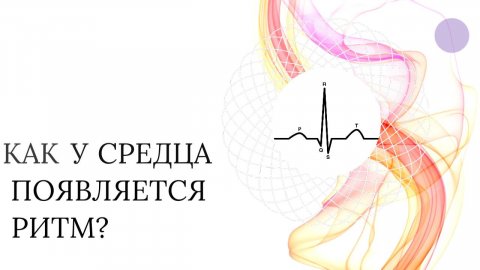 Что такое Синусовый ритм