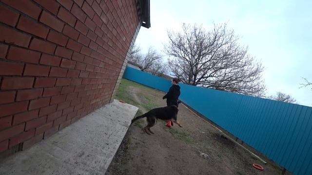 ПРИЕХАЛИ К ВИТАЛИКУ И АНГЕЛИНЕ / ОГОРОД АНГЕЛИНЫ / ПРОКОЛОЛА НОГУ ГВОЗДЕМ. смотреть онлайн