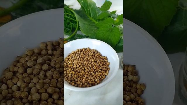 Квашеные зеленые помидоры, как из бочки