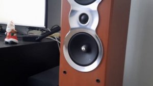 колонки cortland