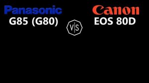 Panasonic Lumix DMC G85 (G80) vs Canon EOS 80D