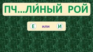 | ПРОВЕРЬ СЕБЯ | ТРЕНАЖЁР №25 ПО РУССКОМУ ЯЗЫКУ (БЕЗУДАРНЫЕ ГЛАСНЫЕ) /2 класс/. 5+