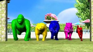 Colors Wild Animals Finger Family for children | Nursery Rhymes,Gorilla,Lion,Tiger,bear,NASH TOON T