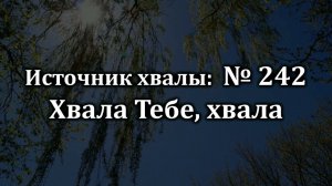 Хвала Тебе хвала | Источник хвалы № 242 | Караоке плюс| Христианские песни | Гимны надежды