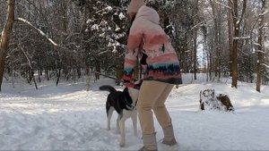 Гулять с хаски весело) Космос в лесу. Шуваловский парк, Парнас Спб.