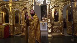 БЛАГОДАРНОСТЬ БОГУ. Отец Савва (Мажуко)