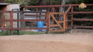 Лошади \ Содержание лошадей \ Дом с хвостом