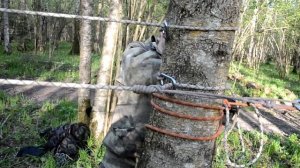 Натягивание навесной переправы