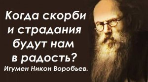 Когда скорби и страдания будут нам в радость? Игумен Никон Воробьев.