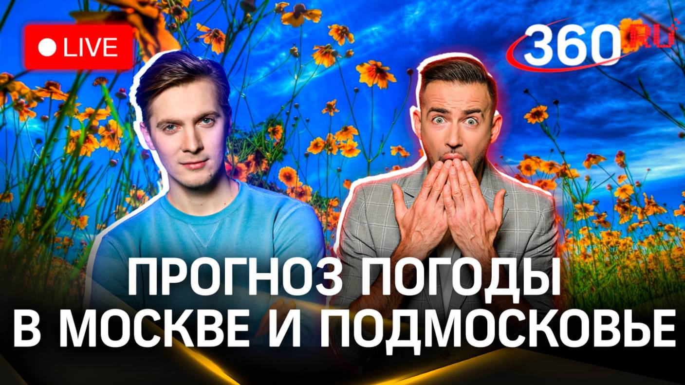 Погода на 15 августа. Как приручить лося? Инструкция по созданию гигантского самолетика